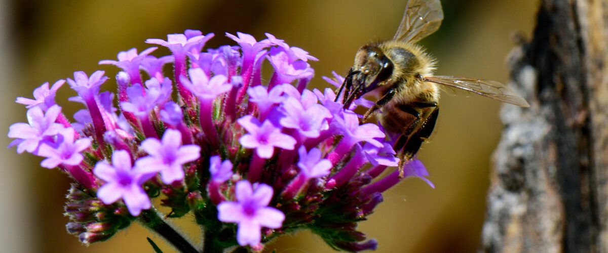 2023.06.27 - 13_34_02-1