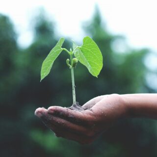 Schulung Fachberater: Integrierter Pflanzenschutz in Theorie und Praxis