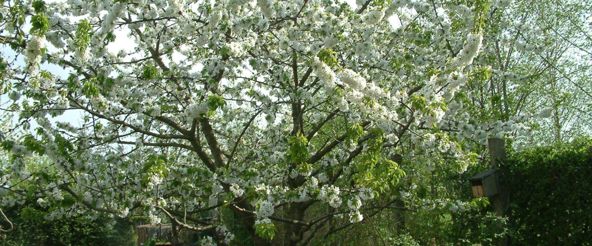 2003.04.29 - 16_36_50-4