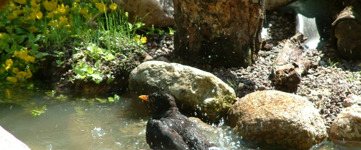 2003.06.09 - 13_51_32