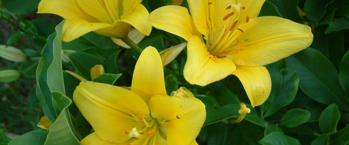 2003.06.21 - 19_48_52