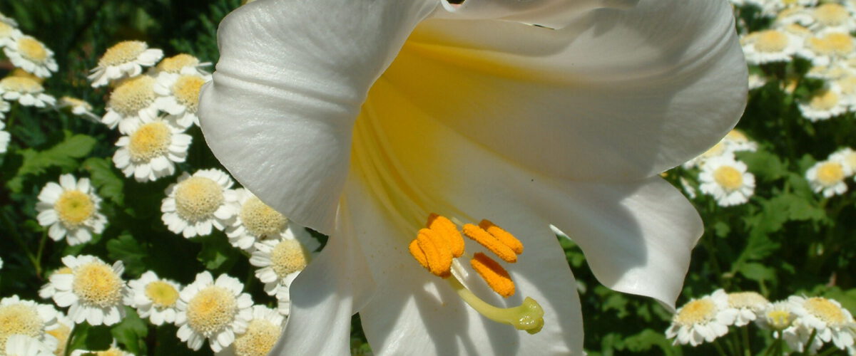 2003.06.22 - 14_31_18