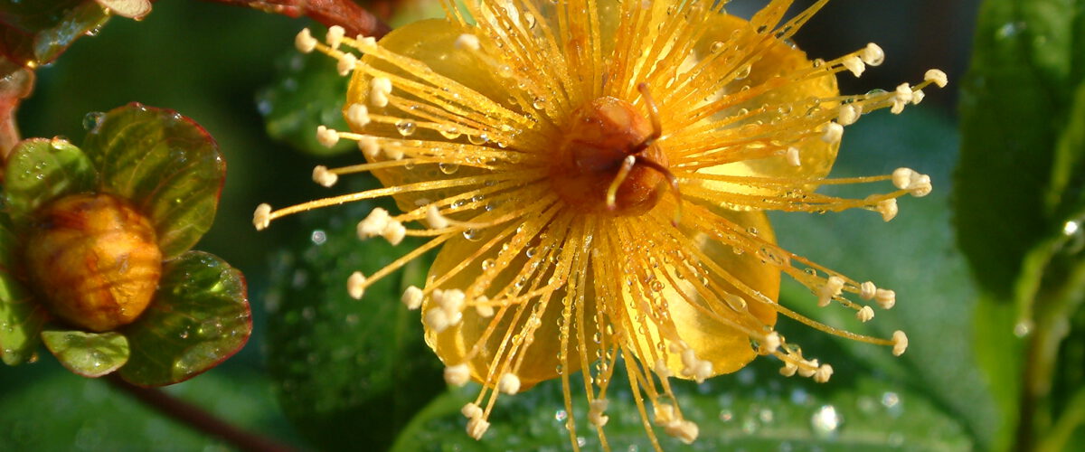 2003.10.19 - 10_53_04