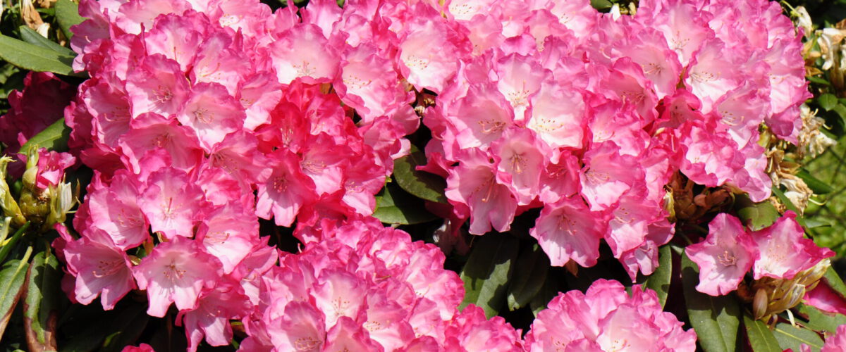 2010.05.23 - 13_19_58