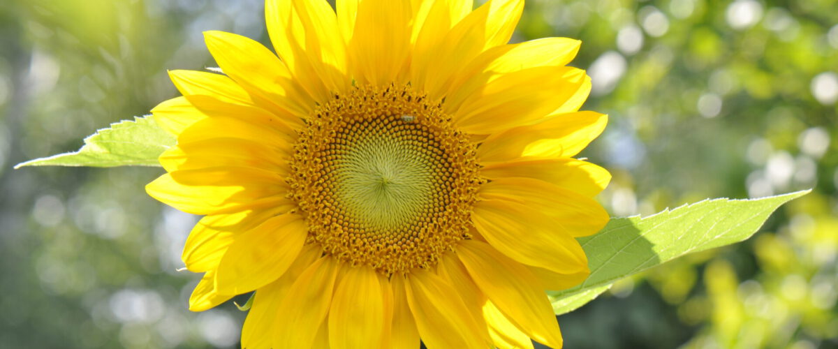 2011.07.16 - 16_57_48