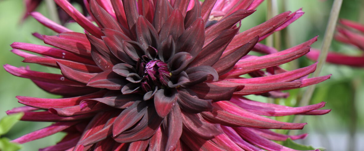 2013.07.17 - 14_57_36