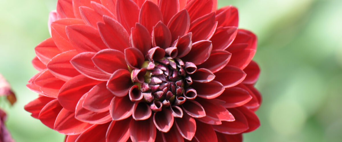 2013.07.17 - 14_58_16