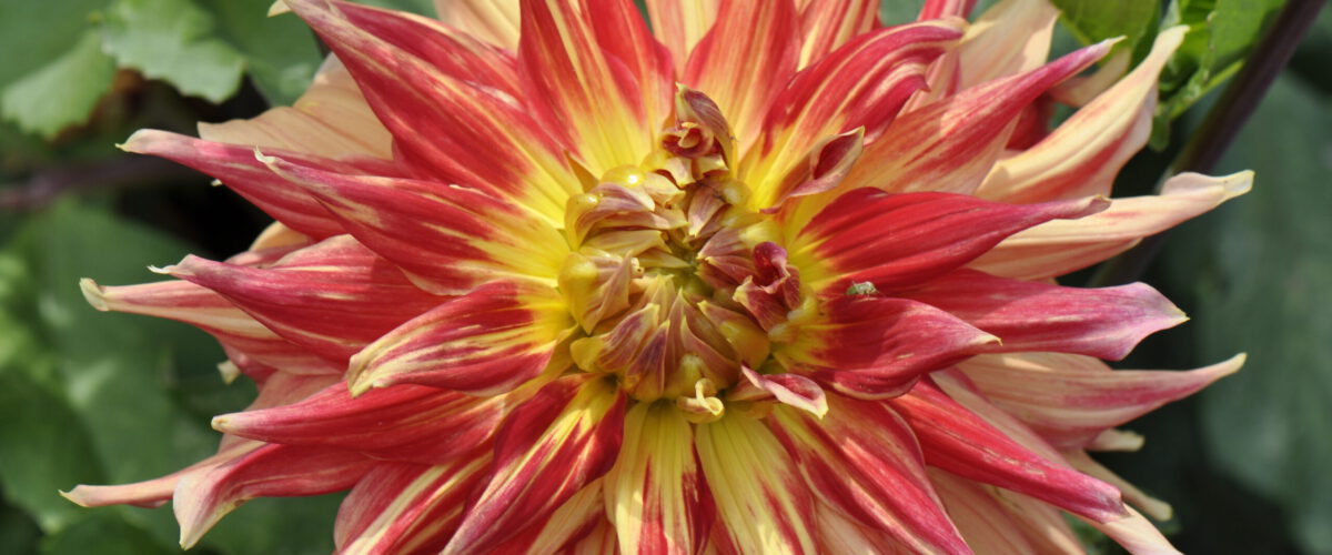 2013.07.17 - 14_59_04