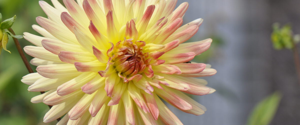 2013.07.17 - 15_01_44