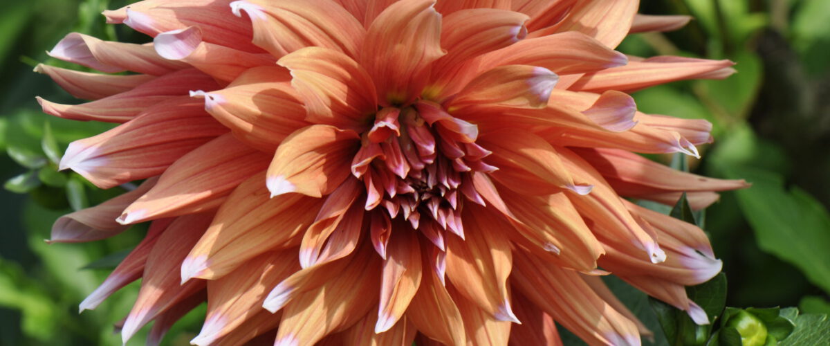 2013.07.17 - 15_03_24