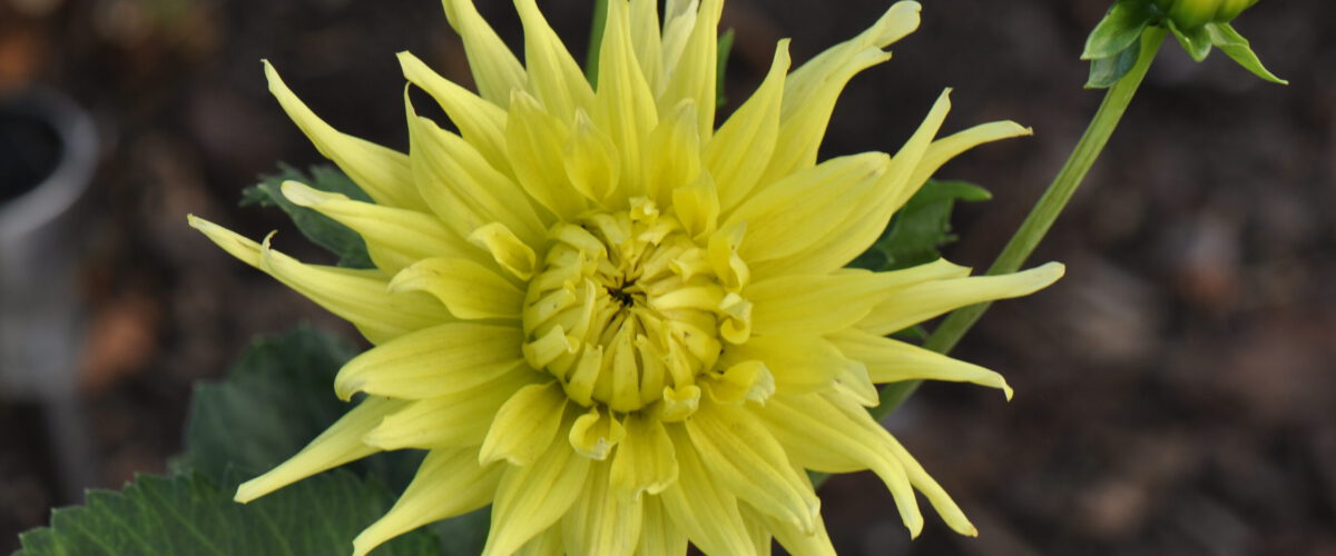 2013.07.23 - 07_23_12