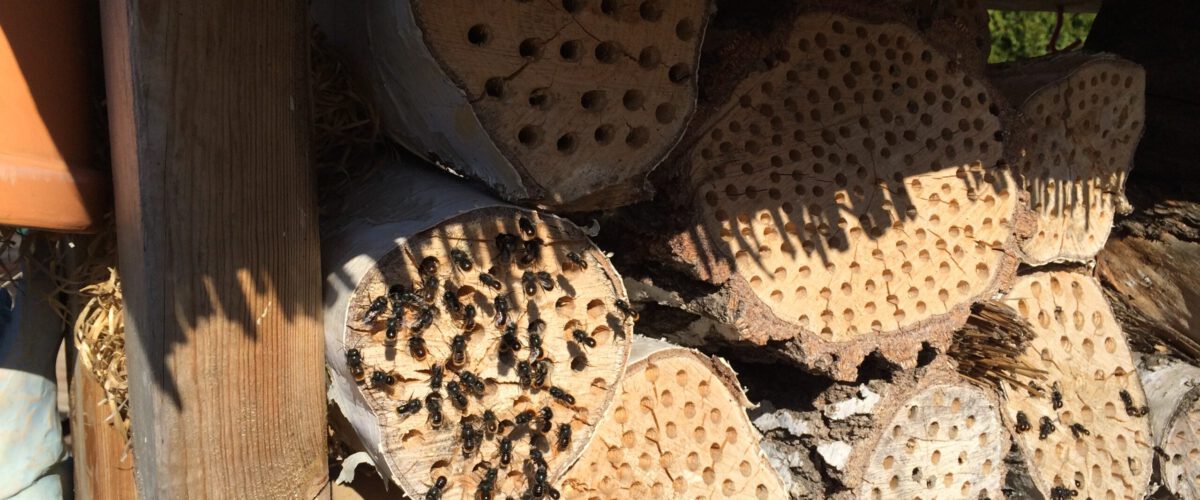 2014.03.20 - 13_47_56