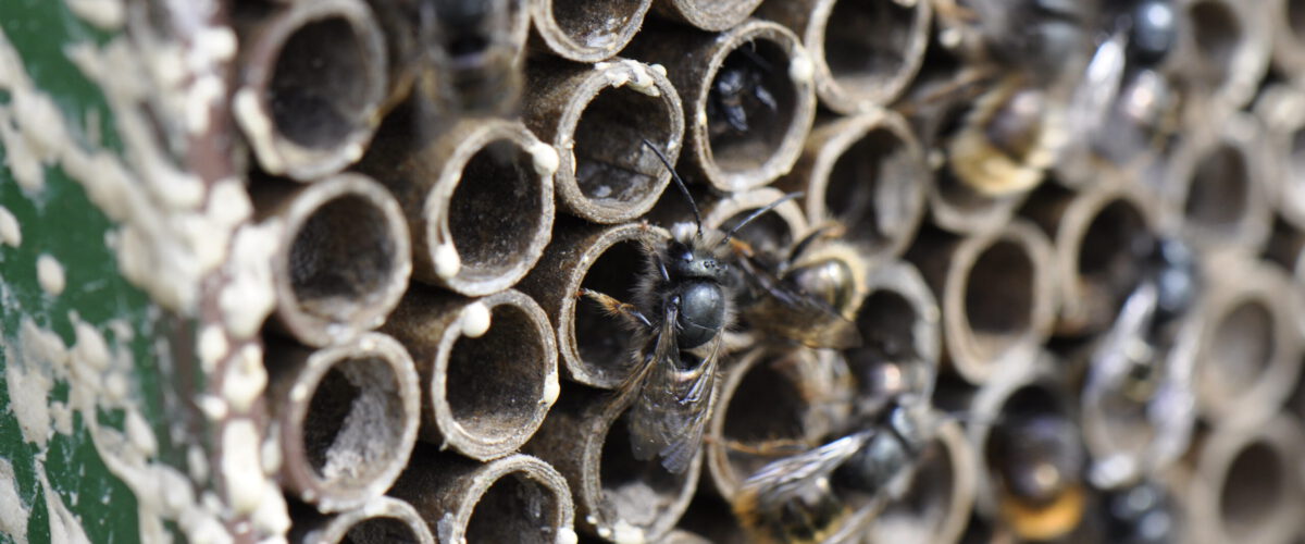 2016.04.03 - 17_16_18