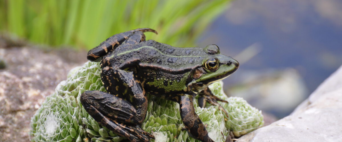 2016.08.08 - 18_51_24