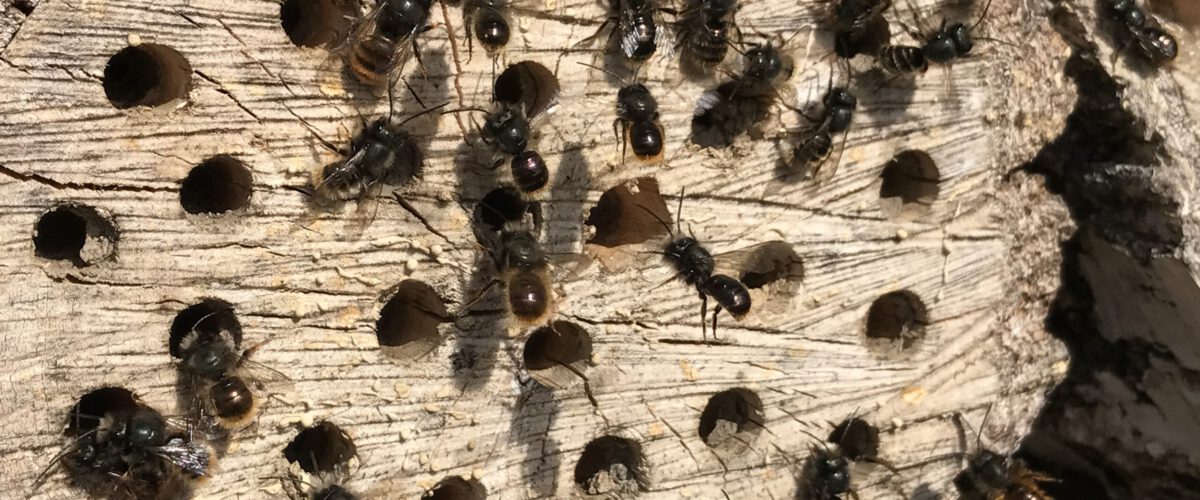 2017.03.25 - 11_42_54