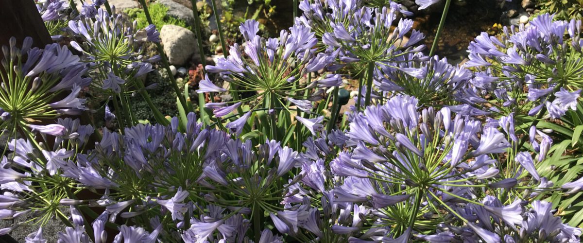 2017.07.20 - 09_26_52