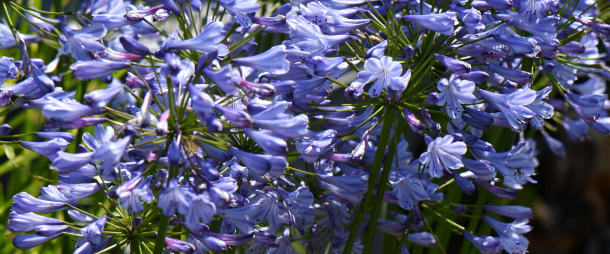 2020.07.19 - 10_44_52