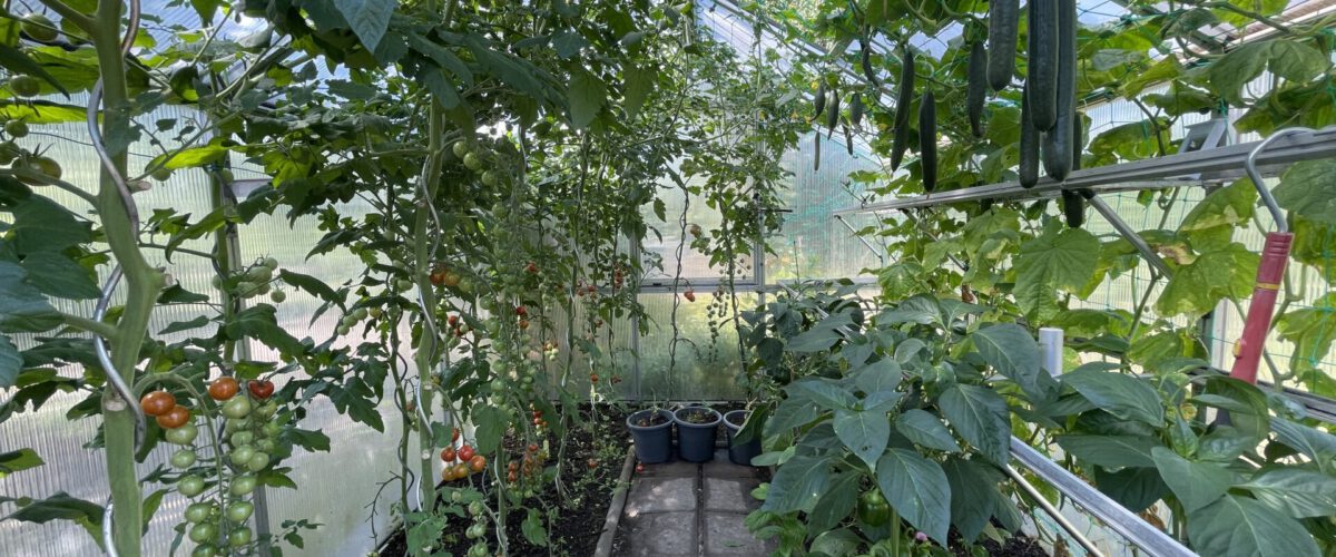 2022.07.19 - 11_12_30