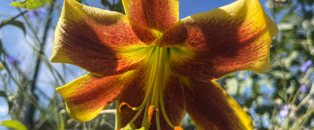 2023.07.18 - 11_28_34 (1)