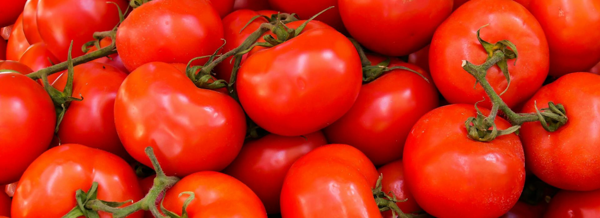 A vivid collection of fresh, ripe red tomatoes perfect for nutritious meals.