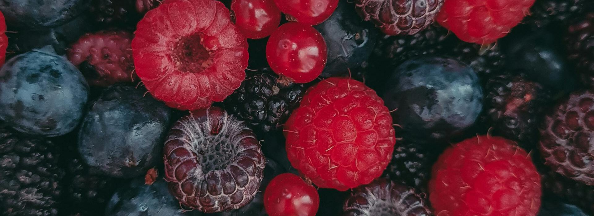 Close-up of fresh mixed berries, including raspberries, blackberries, and blueberries, showcasing healthy eating.