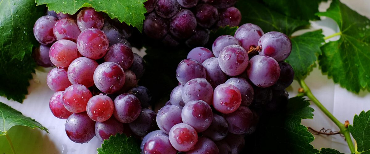 Foto von Kai-Chieh Chan Close-up of fresh purple grapes with water droplets on green grape leaves, showcasing their delicious and juicy appeal.
