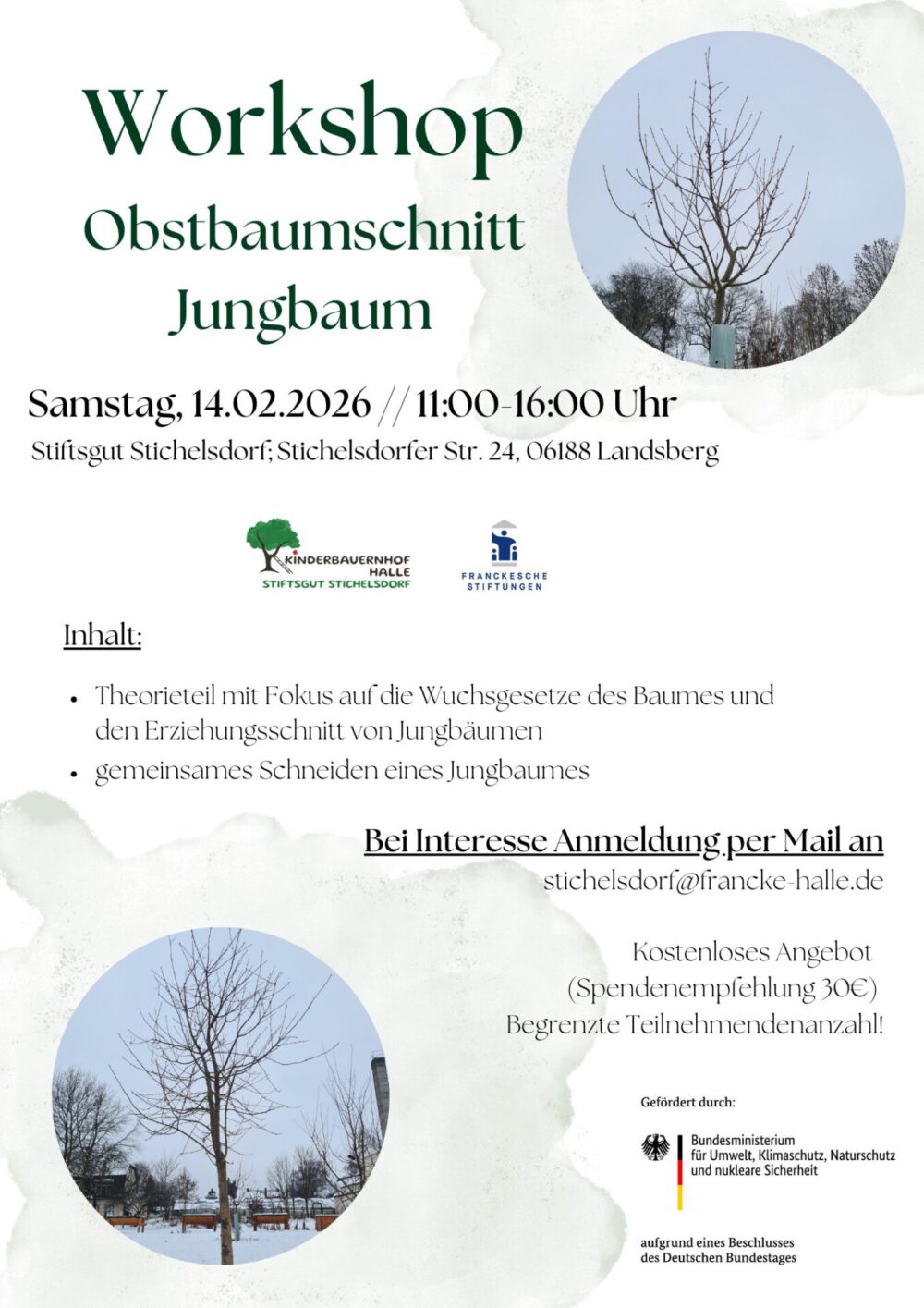 Flyer Obstbaumschnitt