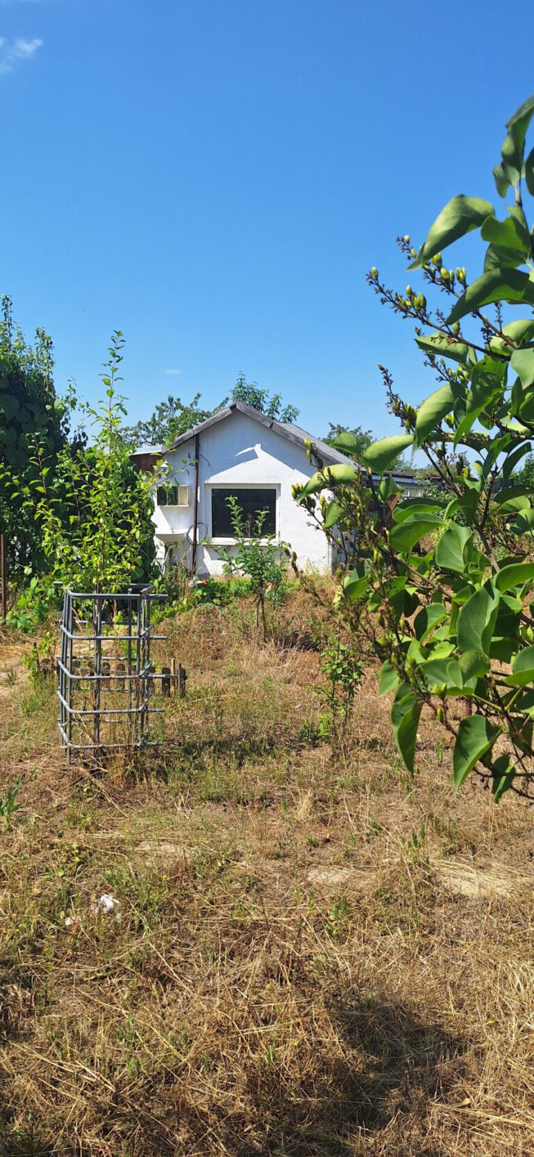 Garten-115.jpg