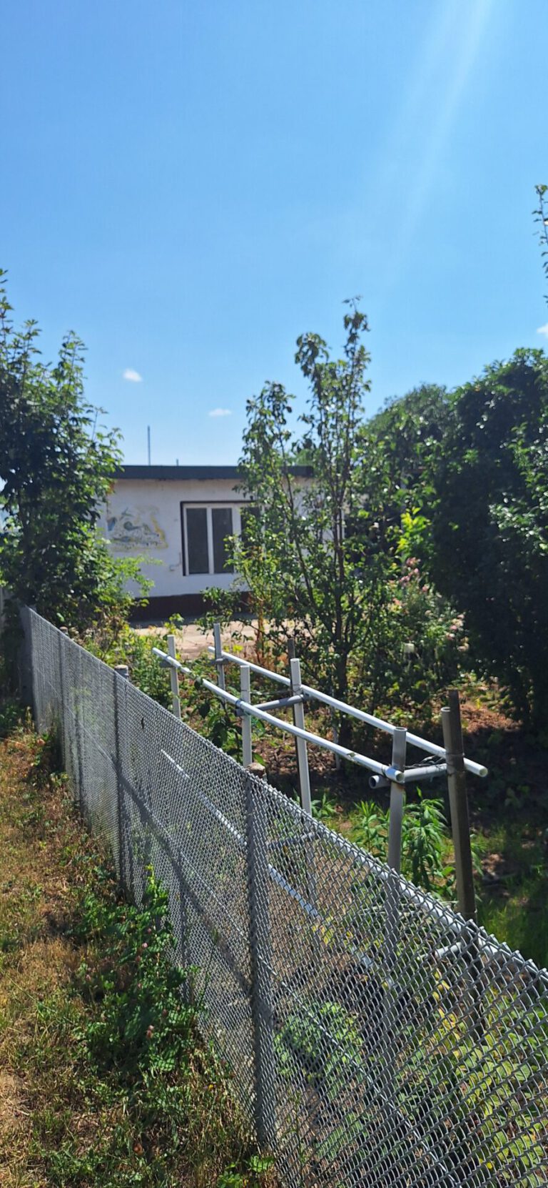 Garten-171.jpg