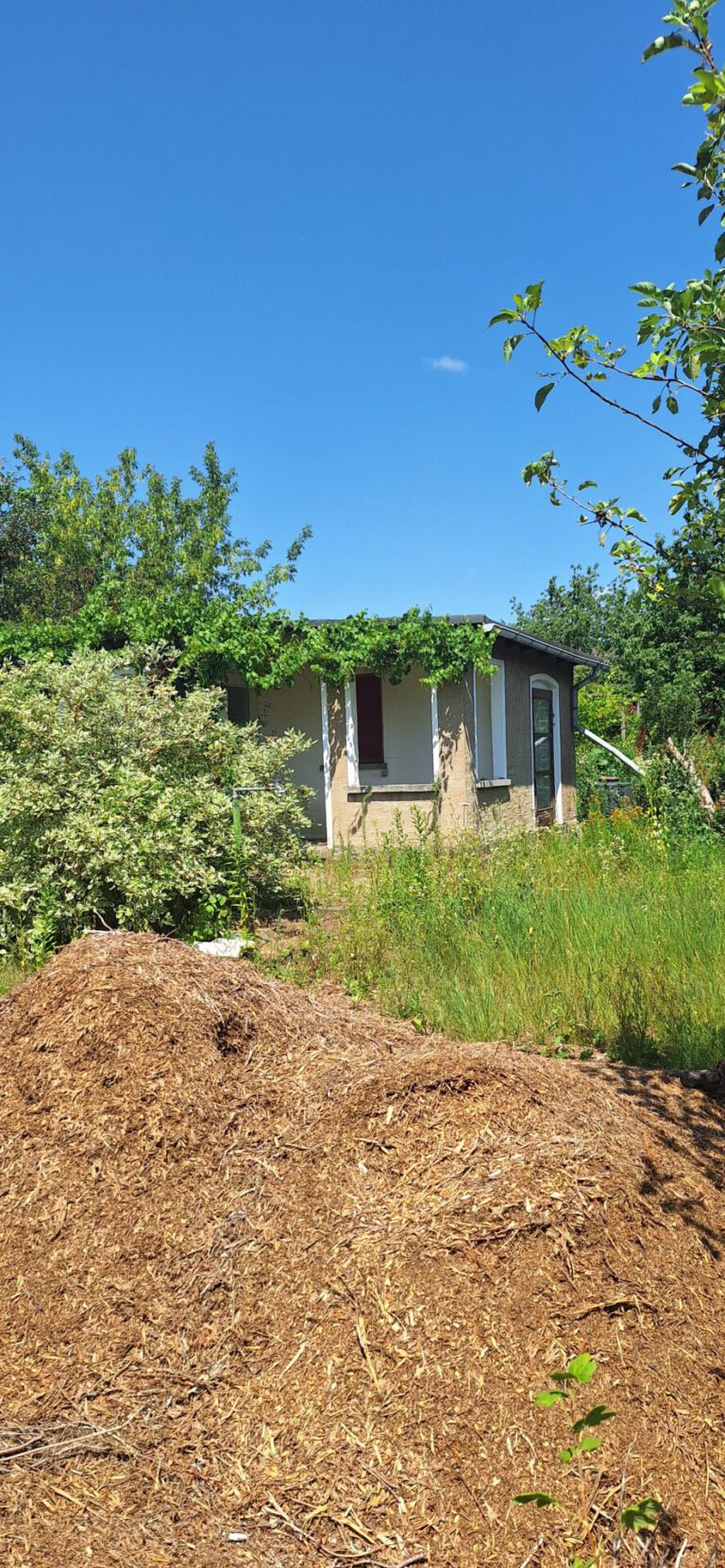 Garten-260.jpg