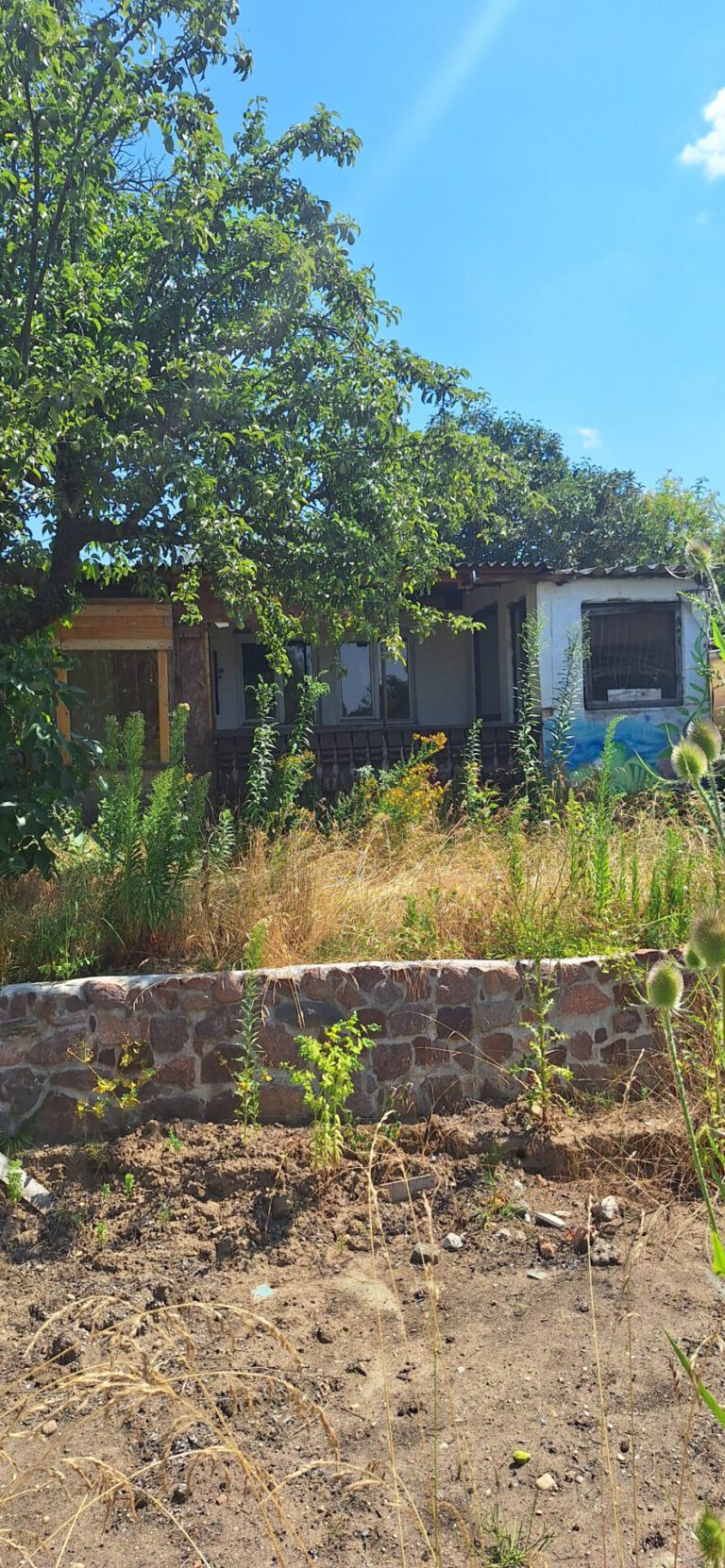 Garten-340.jpg