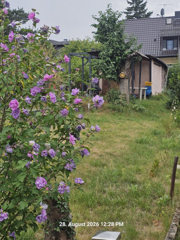 20260828_122829.jpg